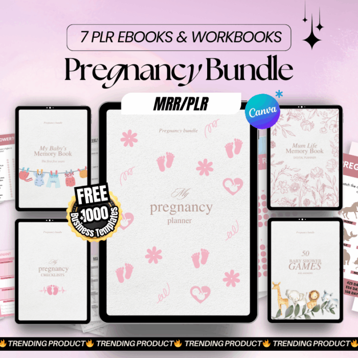 Pregnancy eBook Bundle | 7 PLR Digital Products for New Moms | Pregnancy Journal, Planner, Baby Memory Book & Checklists